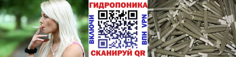 mega зеркало Нерчинск Каннабис OG Kush